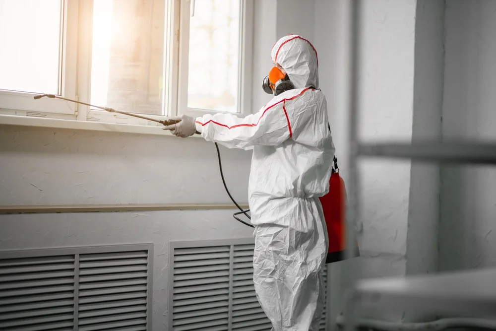 Professional mold remediation services in Zimmerman, MN